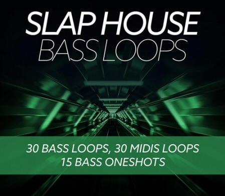 Baltic Audio Slap House Bass Loops WAV MiDi